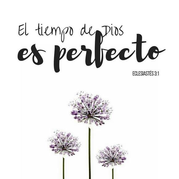 taniaromero